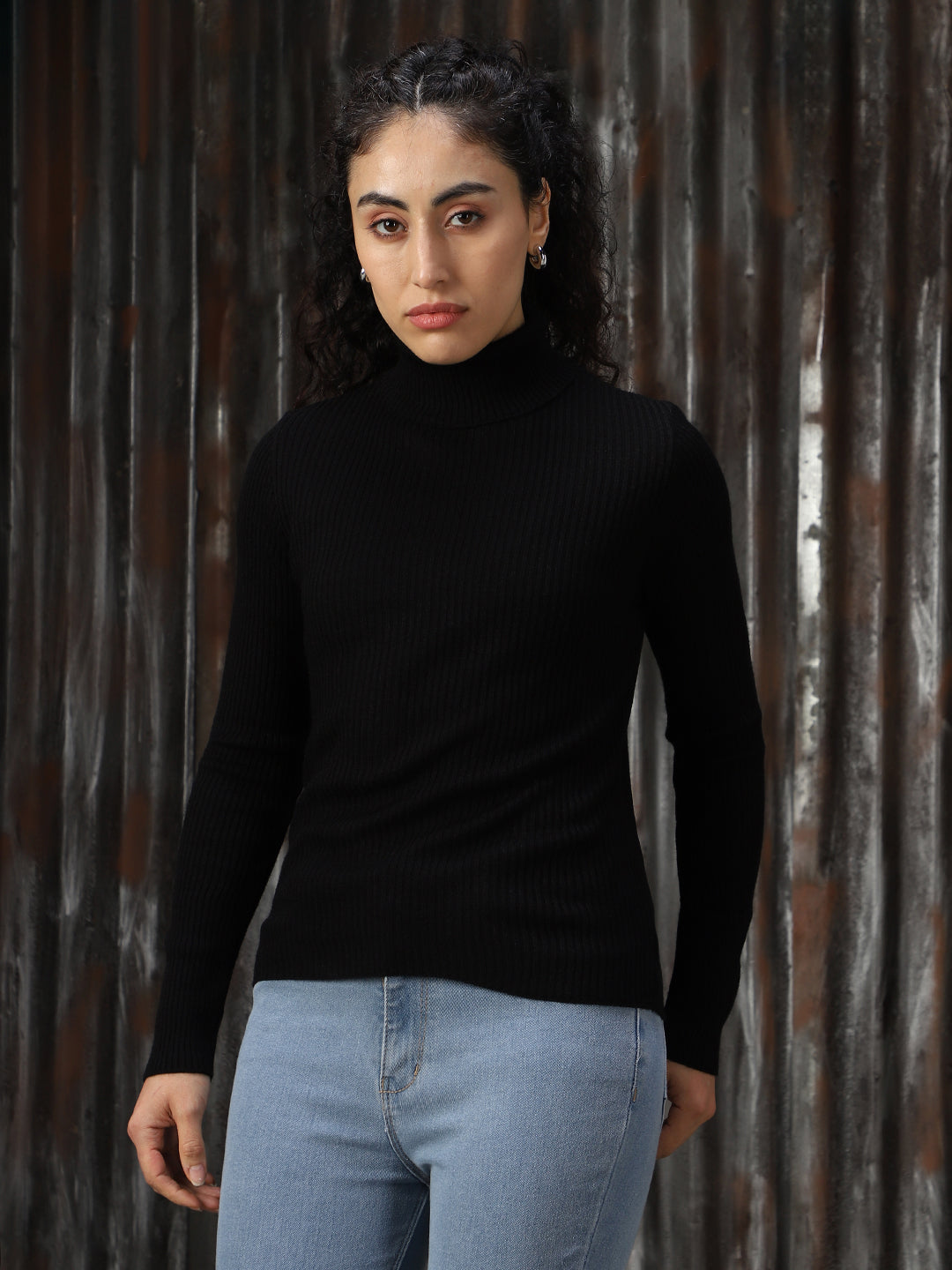 Women Knitted Acrylic Regular fit  Turtle neck Long Sleeve Sweaters