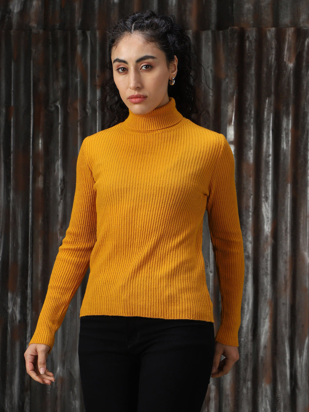 Women Knitted Acrylic Regular fit  Turtle neck Long Sleeve Sweaters